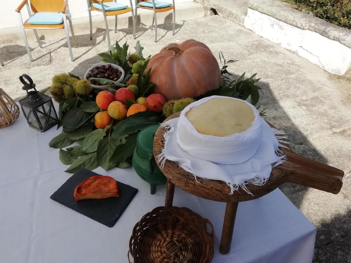Quinta Da Tapada Villa Avo ภายนอก รูปภาพ